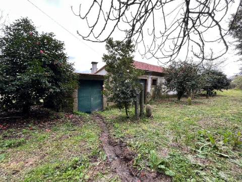 Quinta  Venda em Sanfins Lamoso Codessos,Paços de Ferreira
