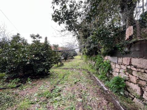 Quinta  Venda em Sanfins Lamoso Codessos,Paços de Ferreira