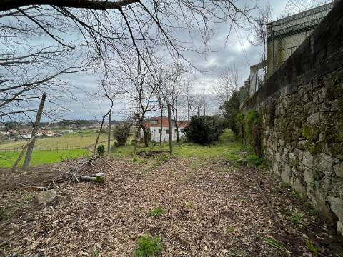 Quinta  Venda em Sanfins Lamoso Codessos,Paços de Ferreira