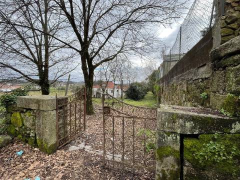 Quinta  Venda em Sanfins Lamoso Codessos,Paços de Ferreira