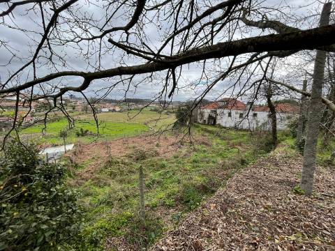 Quinta  Venda em Sanfins Lamoso Codessos,Paços de Ferreira