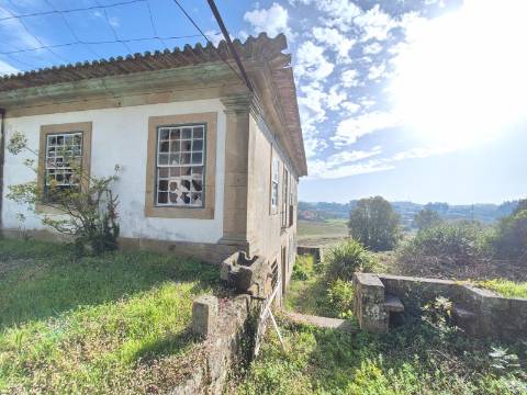 Quinta  Venda em Sanfins Lamoso Codessos,Paços de Ferreira