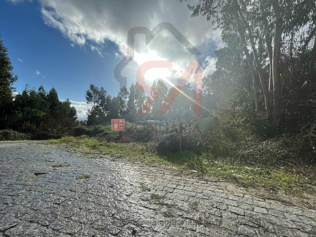 Terreno  Venda em Sanfins Lamoso Codessos,Paços de Ferreira