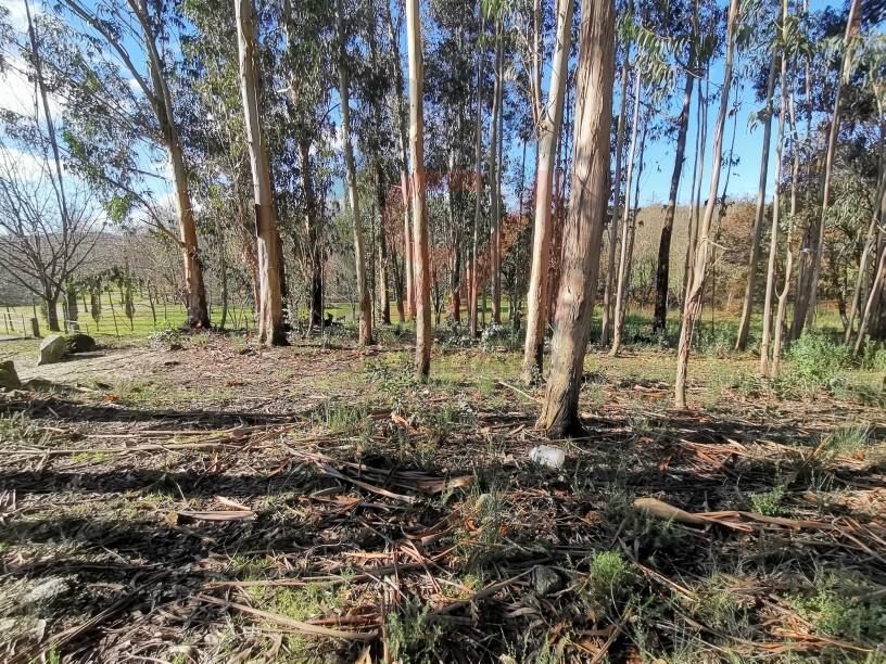 Terreno Para Construção  Venda em Meixomil,Paços de Ferreira