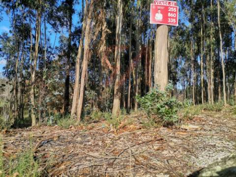 Terreno Para Construção  Venda em Meixomil,Paços de Ferreira