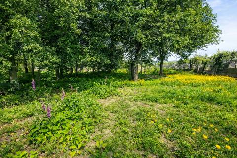 Terreno  Venda em Nespereira e Casais,Lousada