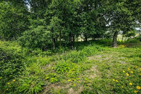 Terreno  Venda em Nespereira e Casais,Lousada