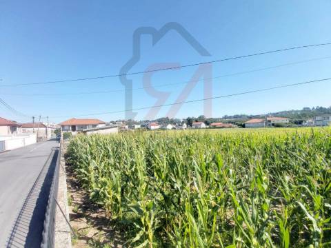 Terreno  Venda em Carvalhosa,Paços de Ferreira
