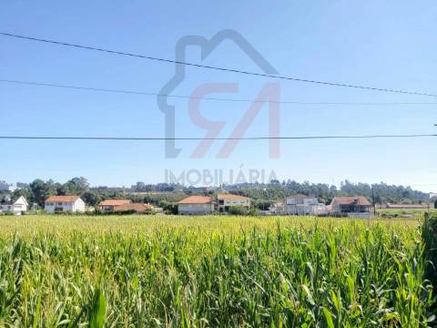 Terreno  Venda em Carvalhosa,Paços de Ferreira