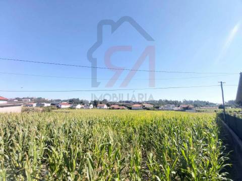 Terreno  Venda em Carvalhosa,Paços de Ferreira
