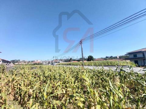Terreno  Venda em Carvalhosa,Paços de Ferreira