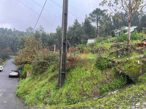 Terreno  Venda em Rebordosa,Paredes
