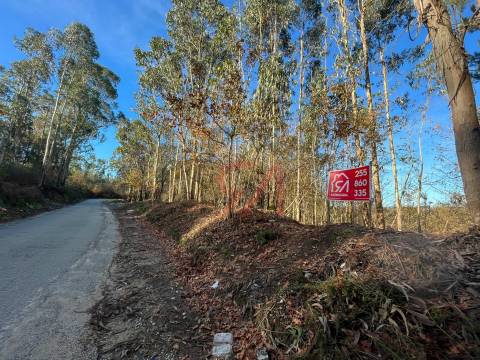 Terreno Para Construção  Venda em Carvalhosa,Paços de Ferreira
