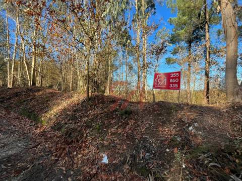 Terreno Para Construção  Venda em Carvalhosa,Paços de Ferreira
