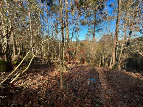 Terreno Para Construção  Venda em Carvalhosa,Paços de Ferreira