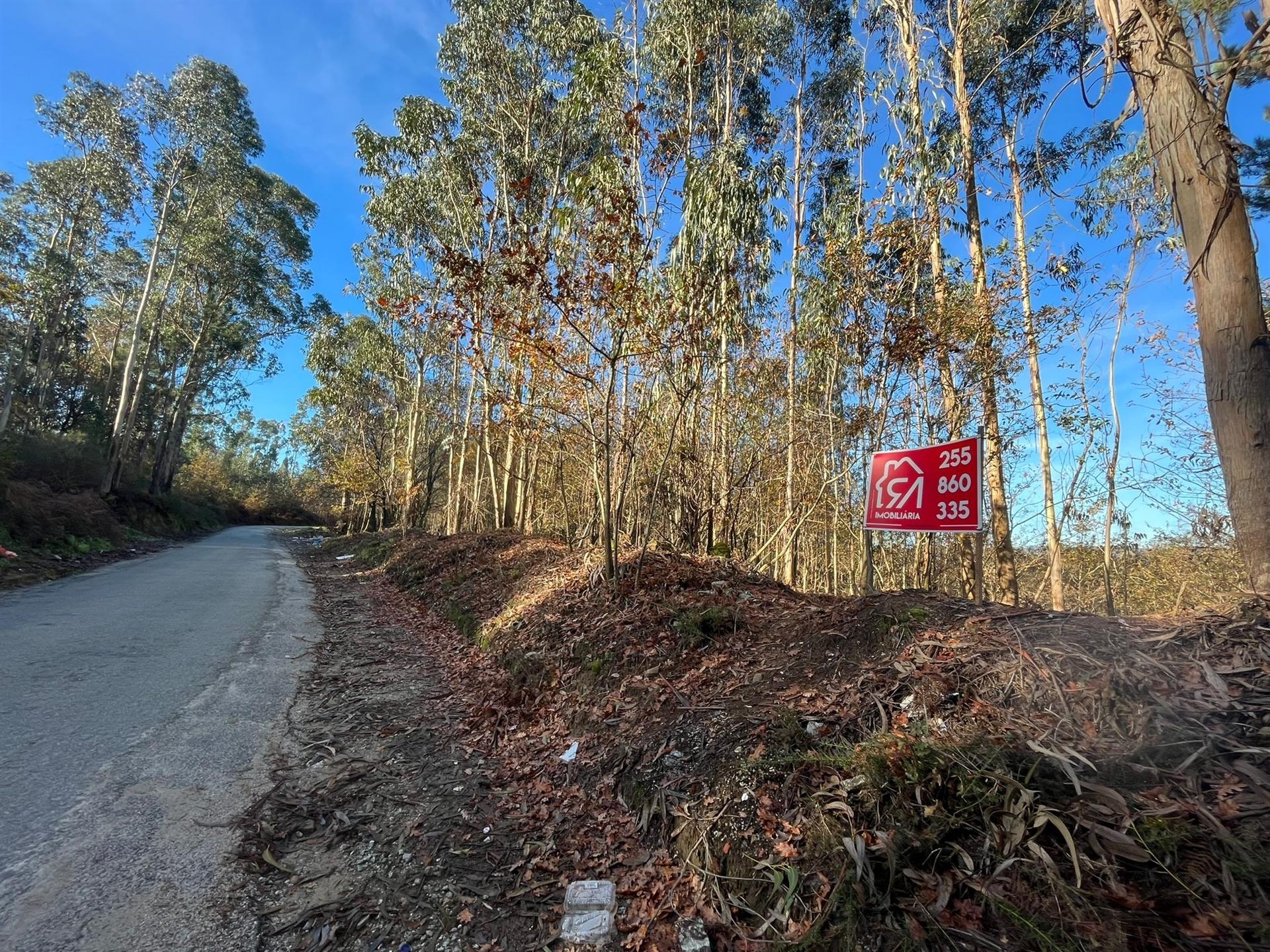 Terreno Para Construção  Venda em Carvalhosa,Paços de Ferreira