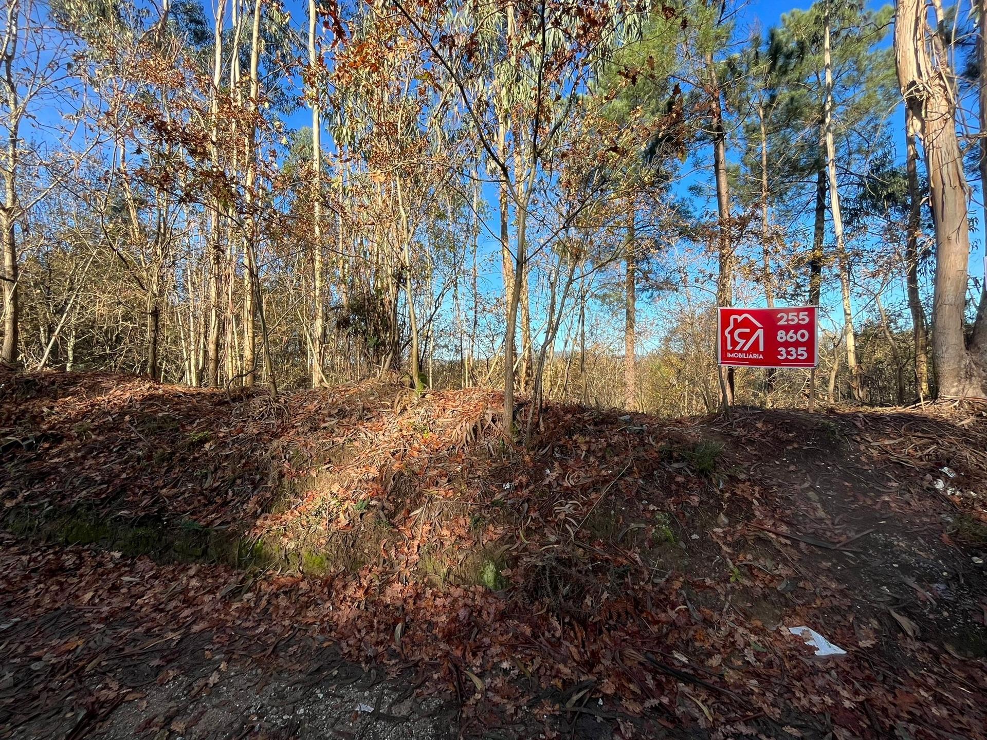 Terreno Para Construção  Venda em Carvalhosa,Paços de Ferreira