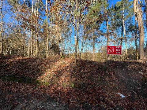 Terreno Para Construção  Venda em Carvalhosa,Paços de Ferreira