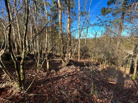 Terreno Para Construção  Venda em Carvalhosa,Paços de Ferreira