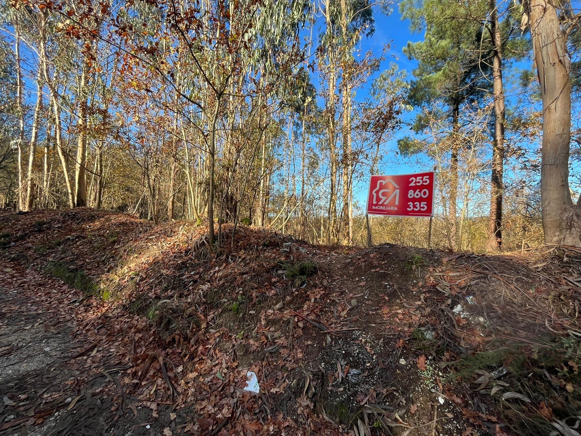Terreno Para Construção  Venda em Carvalhosa,Paços de Ferreira