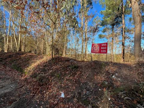 Terreno Para Construção  Venda em Carvalhosa,Paços de Ferreira