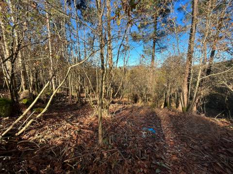 Terreno Para Construção  Venda em Carvalhosa,Paços de Ferreira