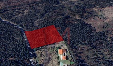 Terreno  Venda em Eiriz,Paços de Ferreira