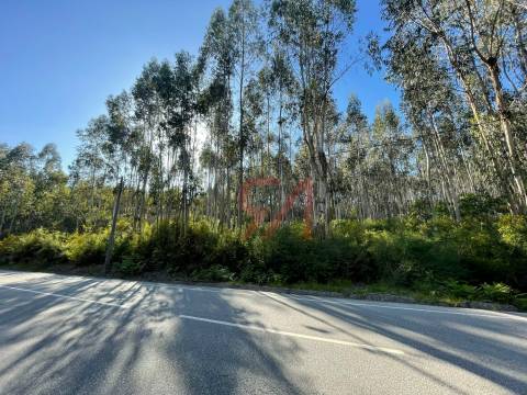 Terreno  Venda em Eiriz,Paços de Ferreira