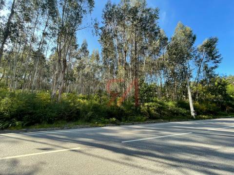 Terreno  Venda em Eiriz,Paços de Ferreira