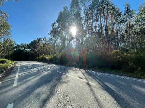 Terreno  Venda em Eiriz,Paços de Ferreira