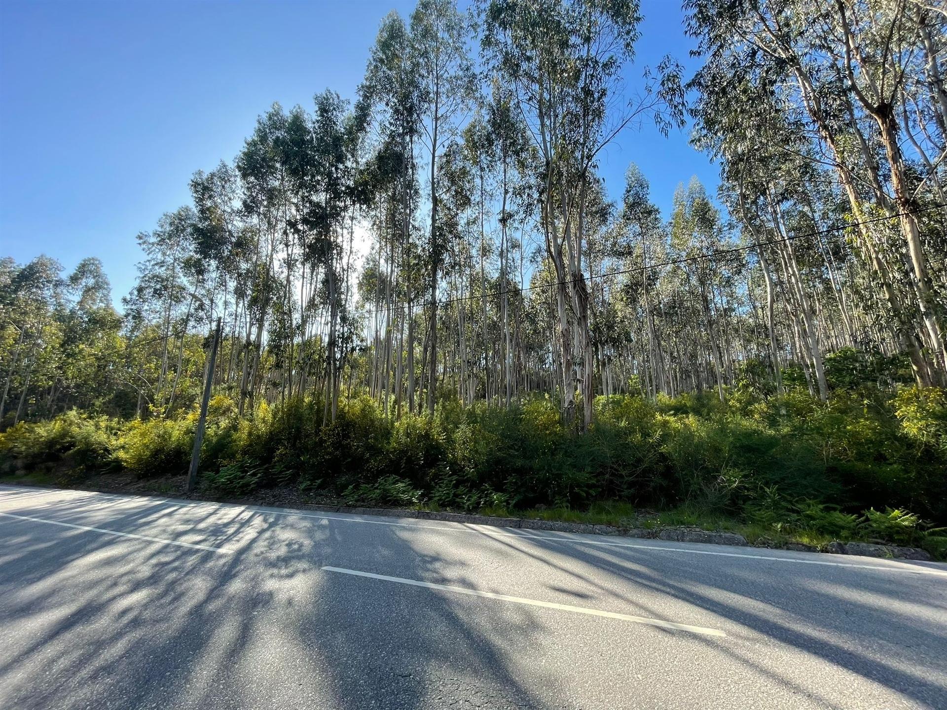 Terreno  Venda em Eiriz,Paços de Ferreira