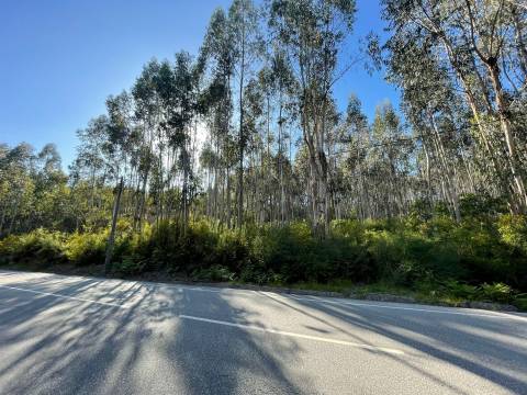 Terreno  Venda em Eiriz,Paços de Ferreira