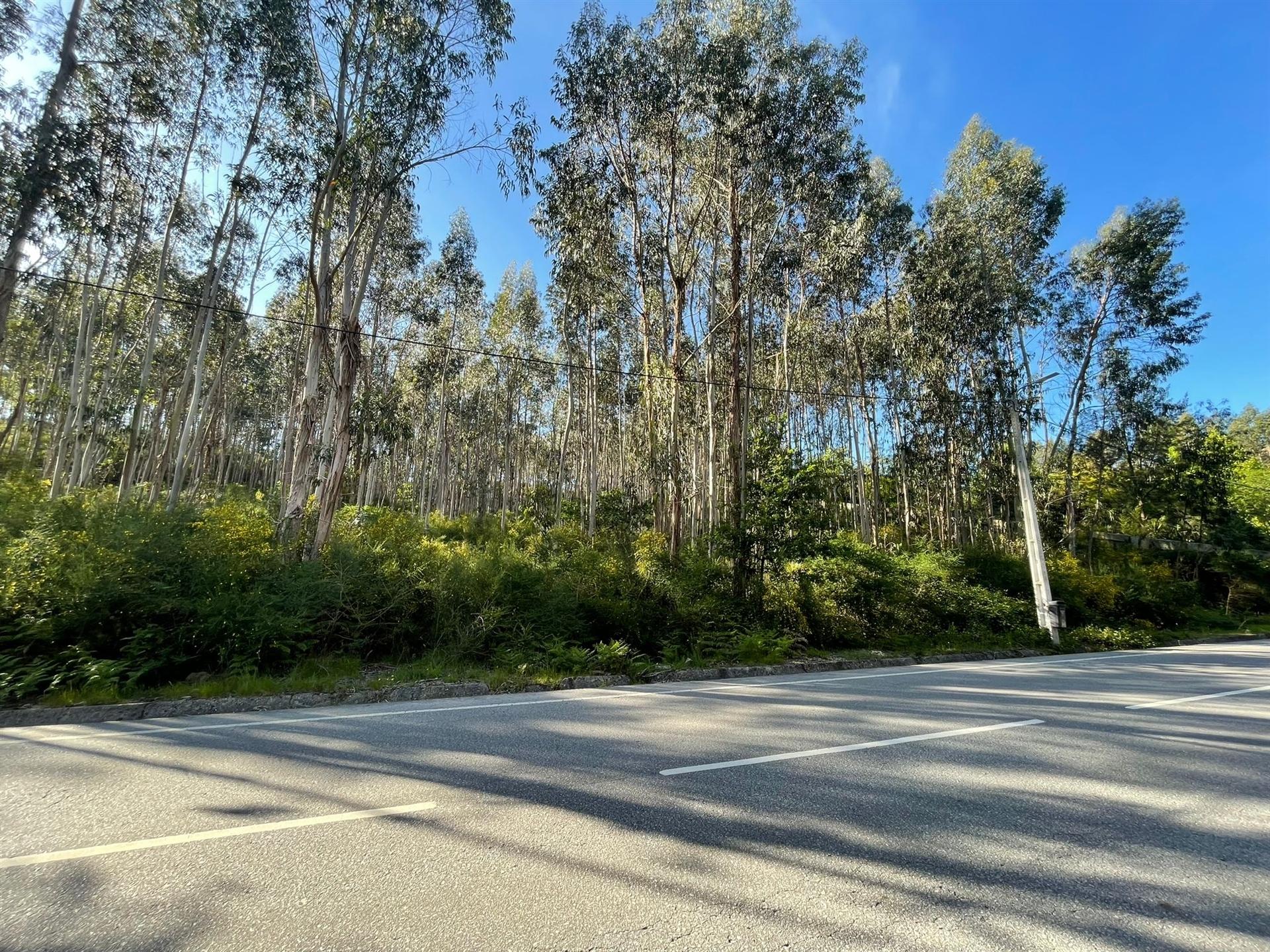 Terreno  Venda em Eiriz,Paços de Ferreira
