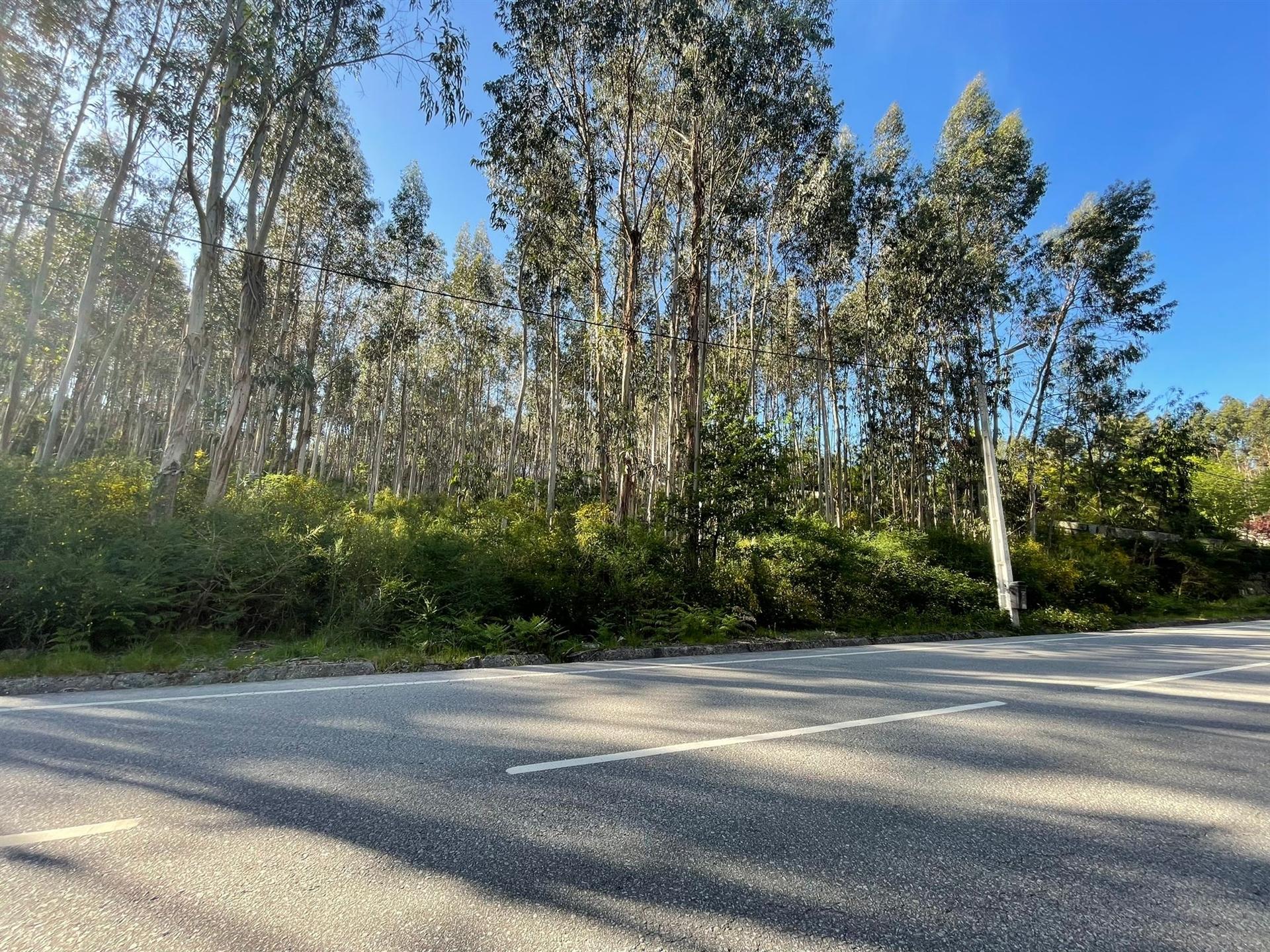 Terreno  Venda em Eiriz,Paços de Ferreira