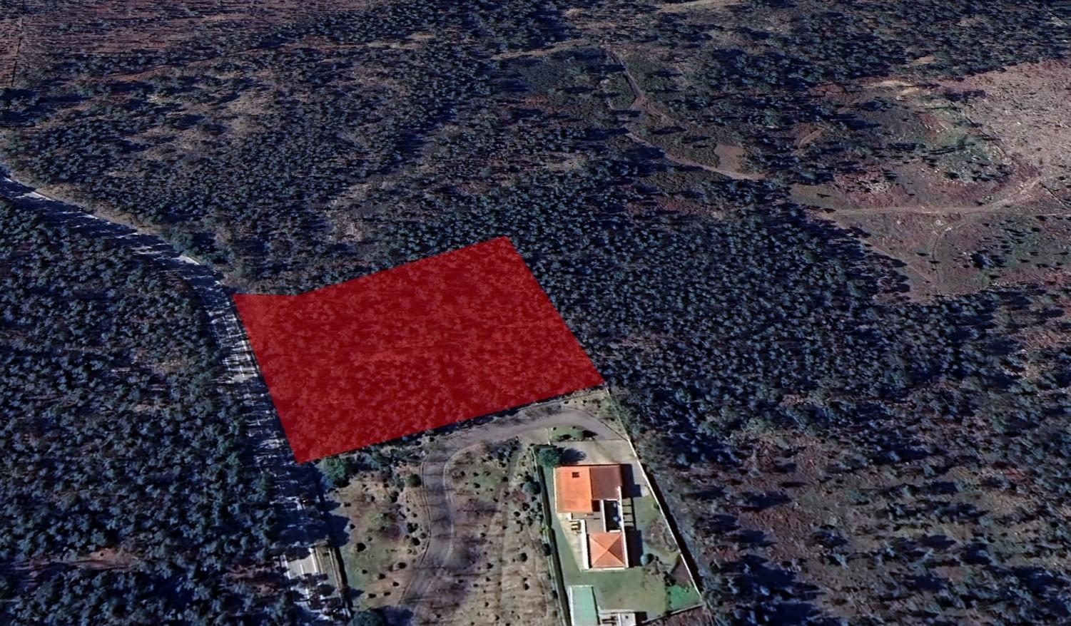 Terreno  Venda em Eiriz,Paços de Ferreira