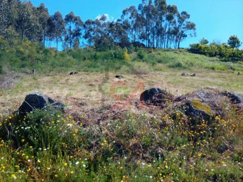 Terreno  Venda em Paços de Ferreira,Paços de Ferreira