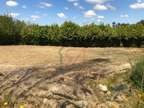 Terreno  Venda em Sanfins Lamoso Codessos,Paços de Ferreira