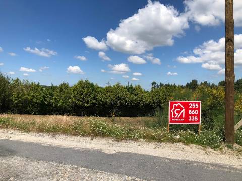 Terreno  Venda em Sanfins Lamoso Codessos,Paços de Ferreira