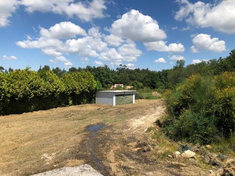 Terreno  Venda em Sanfins Lamoso Codessos,Paços de Ferreira