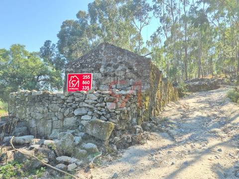 Moradia para Restaurar  Venda em Sanfins Lamoso Codessos,Paços de Ferreira