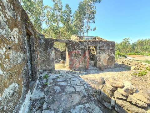 Moradia para Restaurar  Venda em Sanfins Lamoso Codessos,Paços de Ferreira