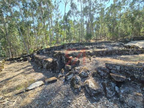 Moradia para Restaurar  Venda em Sanfins Lamoso Codessos,Paços de Ferreira