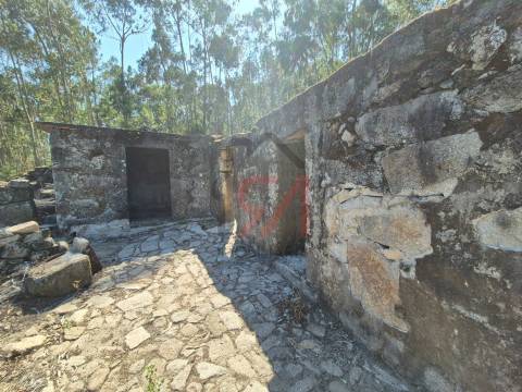 Moradia para Restaurar  Venda em Sanfins Lamoso Codessos,Paços de Ferreira