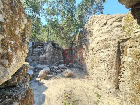 Moradia para Restaurar  Venda em Sanfins Lamoso Codessos,Paços de Ferreira