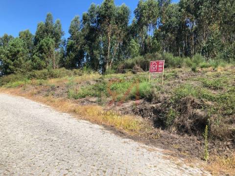 Terreno  Venda em Ferreira,Paços de Ferreira