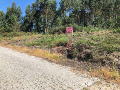 Terreno  Venda em Ferreira,Paços de Ferreira