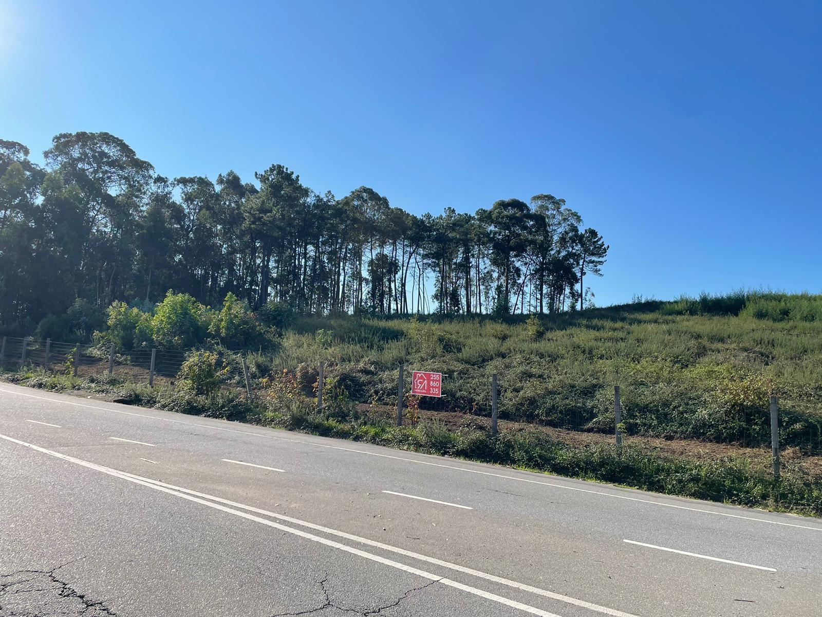 Terreno  Venda em Freamunde,Paços de Ferreira