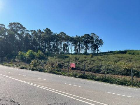 Terreno  Venda em Freamunde,Paços de Ferreira