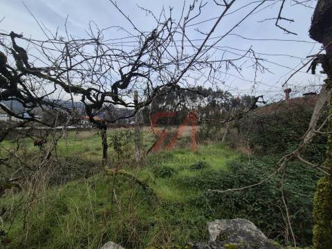 Quinta  Venda em Meixomil,Paços de Ferreira