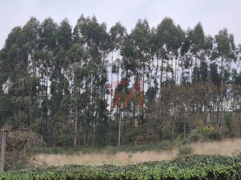 Quinta  Venda em Meixomil,Paços de Ferreira